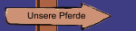 Unsere Pferde