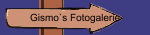 Gismo`s Fotogalerie